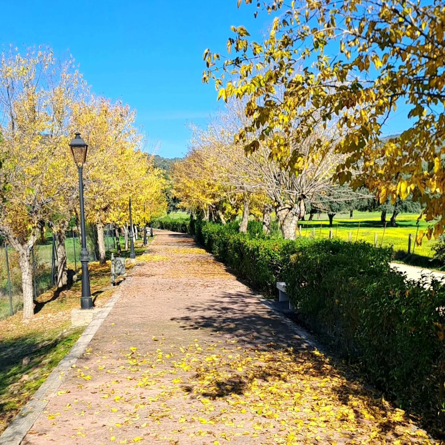Casa El Frenazo ξενώνας Garciotum Εξωτερικό φωτογραφία