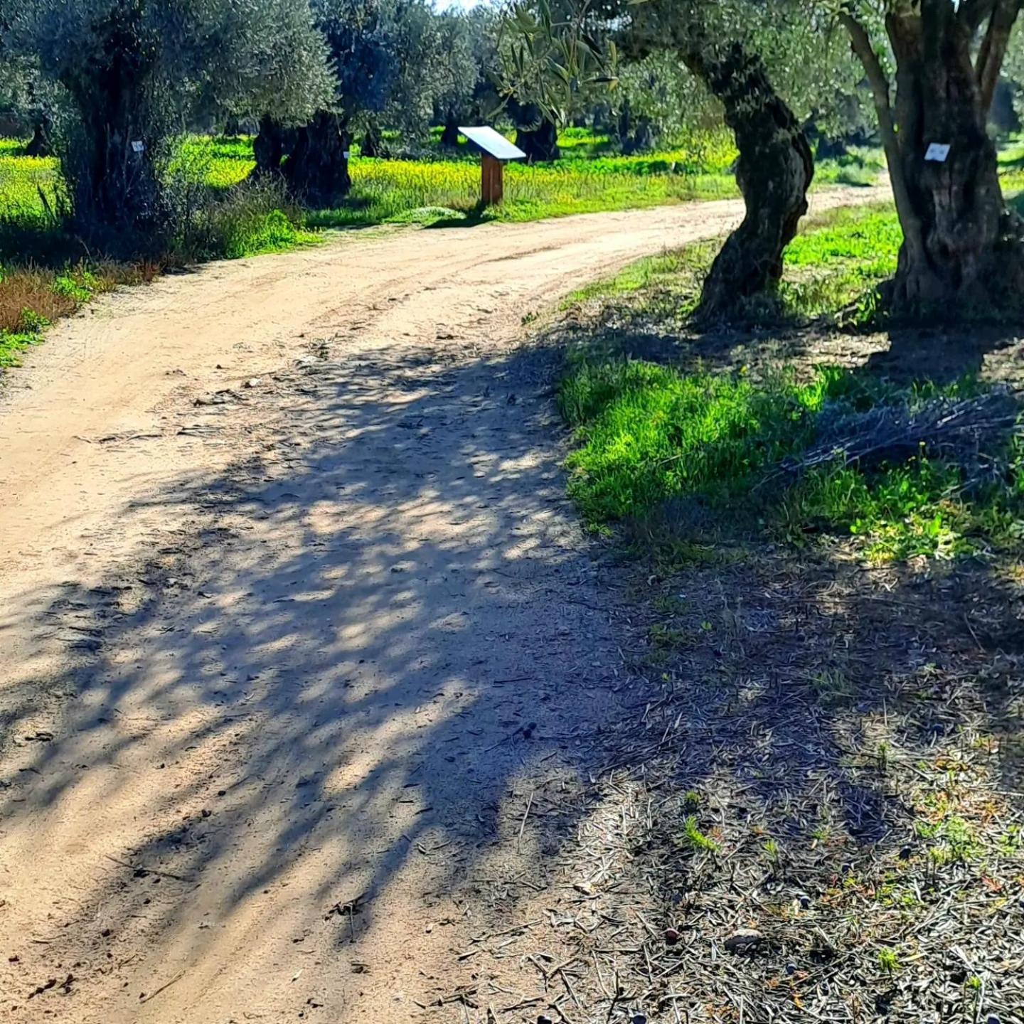 Casa El Frenazo ξενώνας Garciotum Εξωτερικό φωτογραφία